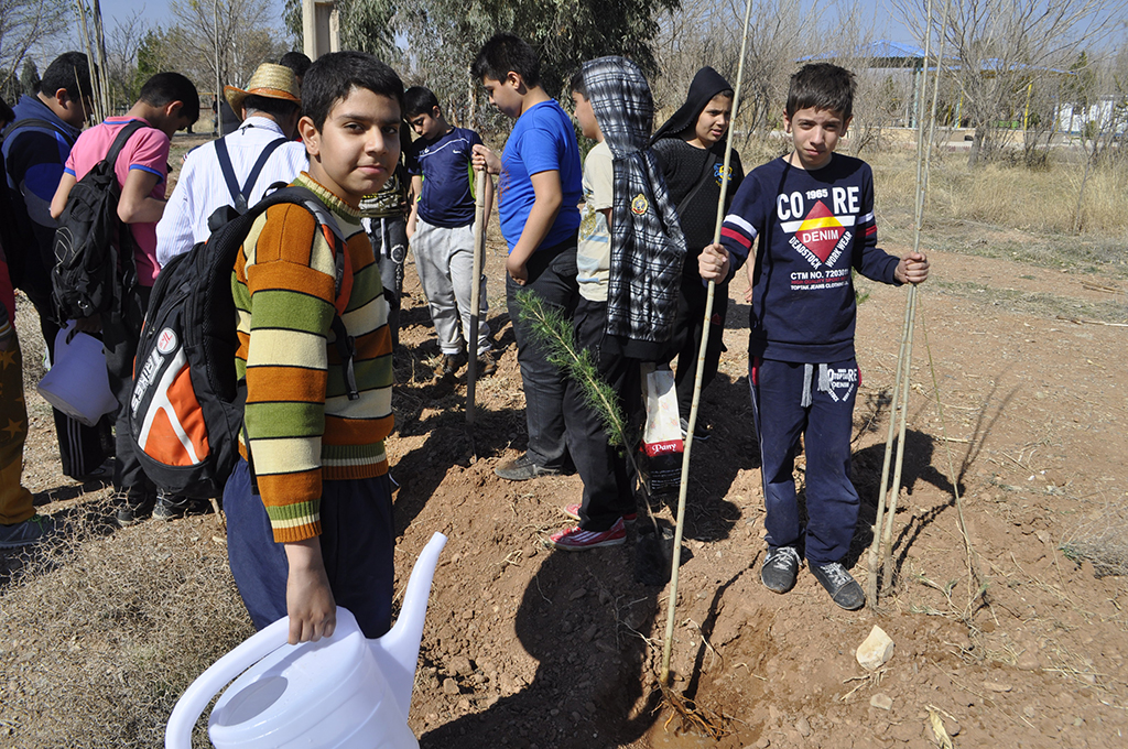 tosan-techno-participated-in-planting-trees-project