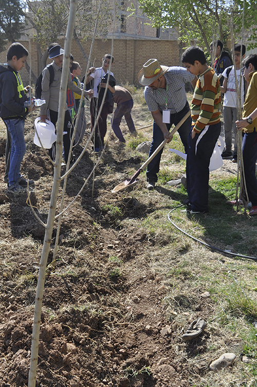 planting trees 03